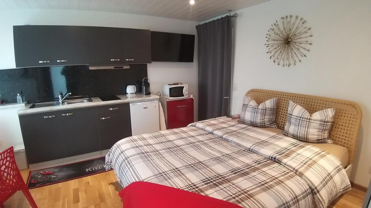 Beau Studio Avec Terrasse Et Vue Exclusivement Pour Non Fumeurs بلمونت سور لوزان المظهر الخارجي الصورة
