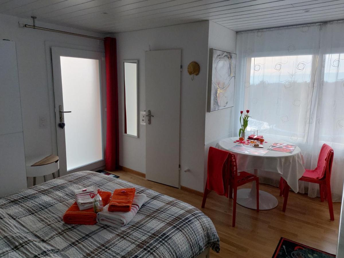 Beau Studio Avec Terrasse Et Vue Exclusivement Pour Non Fumeurs بلمونت سور لوزان المظهر الخارجي الصورة